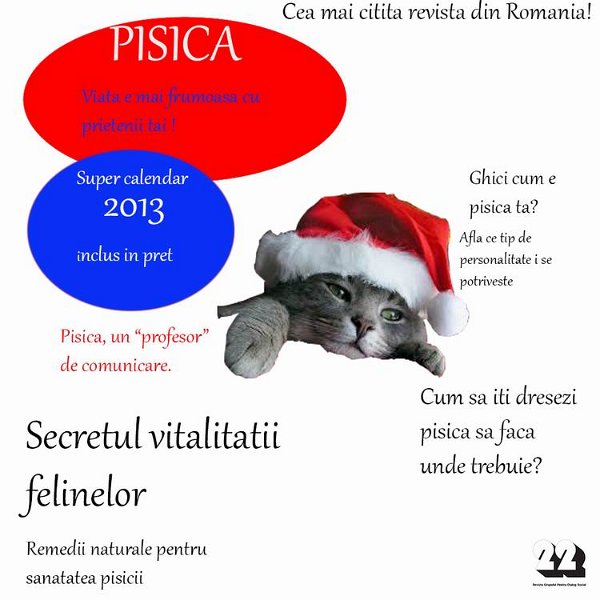 Pintilie_Vlad revista.jpg